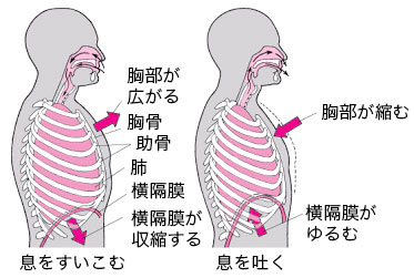 setsumei02