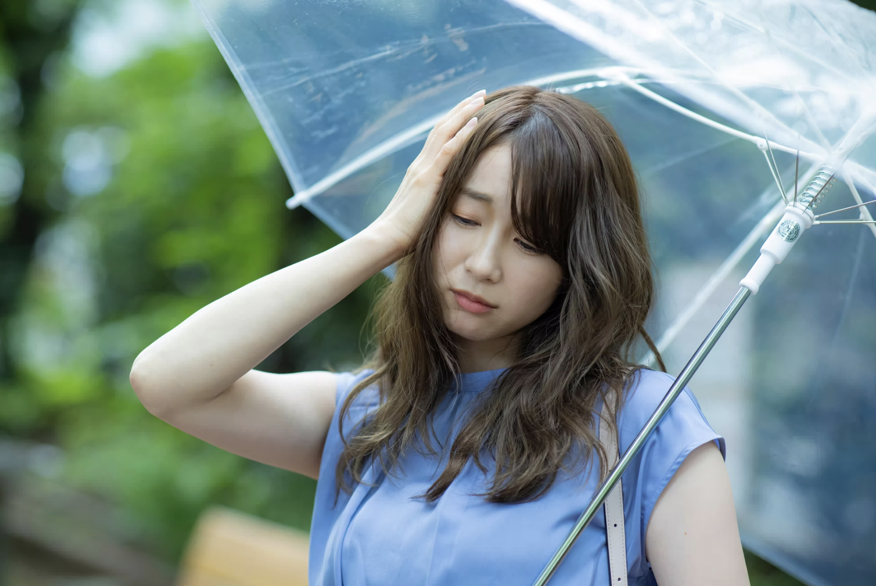 投稿の画像